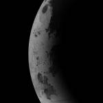 Kaatu Kama Profile Picture